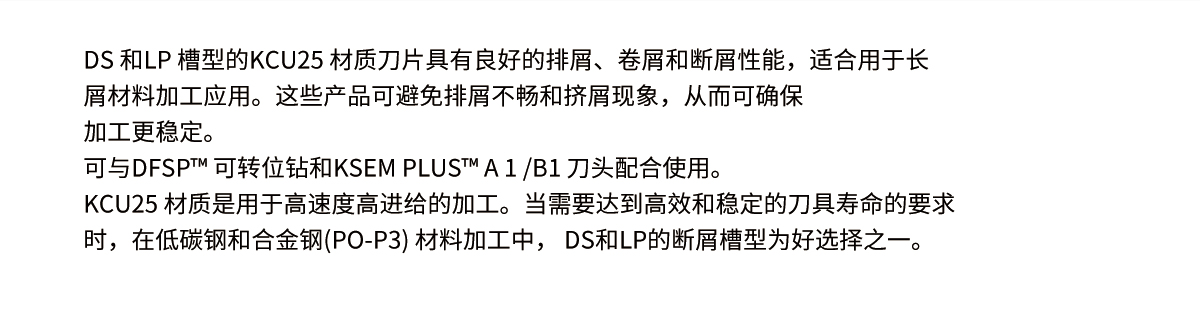鉆削刀片-DS&LP槽型_02.jpg